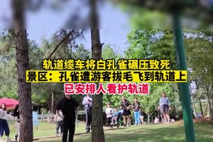 全市场：佛罗伦萨接近古德蒙德森，500万欧元租借 2000万强制买断