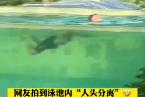 阿里纳斯：LBJ是我遇过最聪明的对手 他让教练换下内线以便攻筐